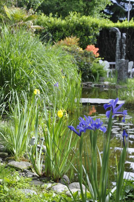Villa Del Gusto Bellinzona Ngoại thất bức ảnh
